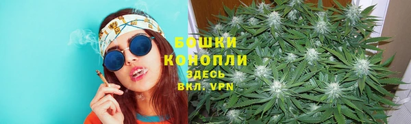 СК Ельня