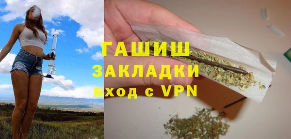 СК Ельня