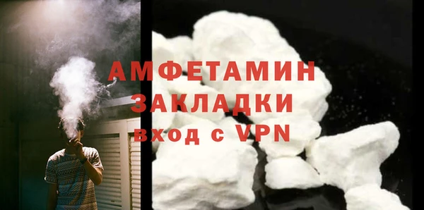 СК Ельня