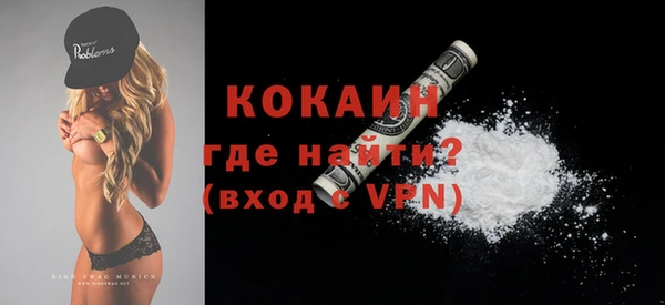 СК Ельня