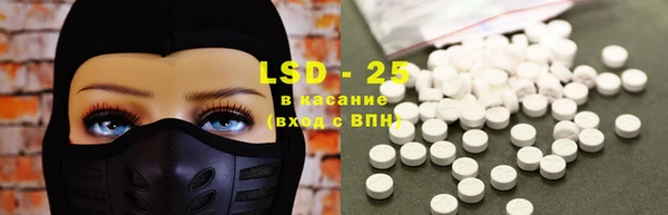 СК Ельня