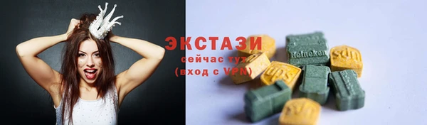 СК Ельня