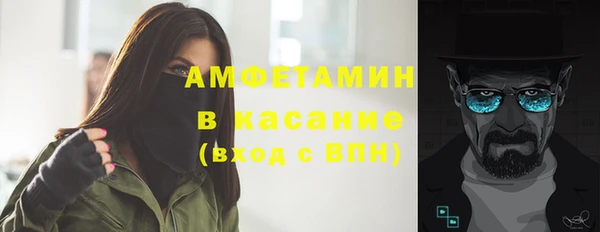 СК Ельня