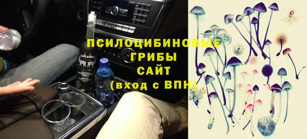 молекула духа Заволжье