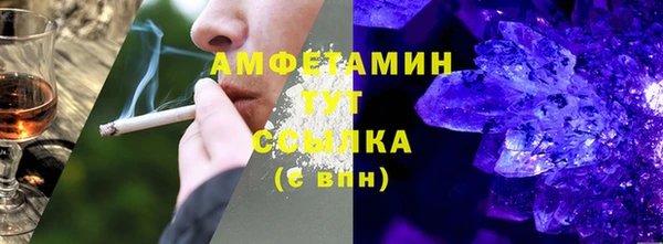 СК Ельня