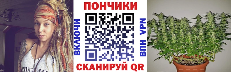 Купить  Киселёвск  Каннабис SATIVA & INDICA 